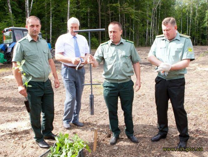 Лісівники Вінниччини щороку вирощують 12 мільйонів штук саджанців, фото №1 на сайті 20minut.ua