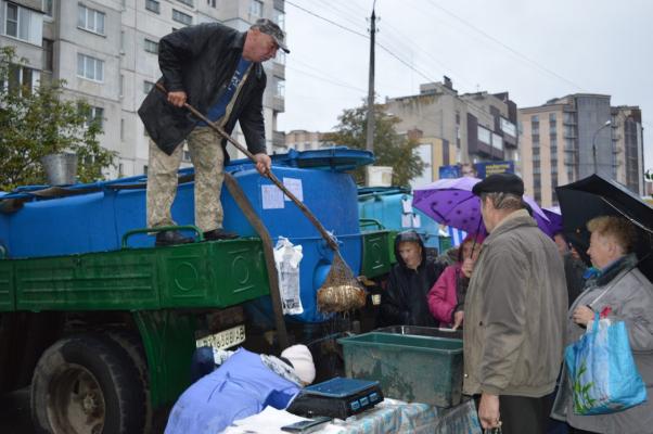Новини Хмельницького - фото з Що і за скільки продавали на святковому ярмарку на Прибузькій Що і за скільки продавали на святковому ярмарку на Прибузькій, фото №13 на сайті vsim.ua