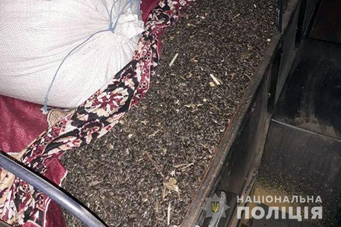 Новини Хмельницького - фото з У Теофіпольському районі чоловік посеред ночі вкрав із поля майже 700 кілограмів соняшникового насіння У Теофіпольському районі чоловік посеред ночі вкрав із поля майже 700 кілограмів соняшникового насіння, фото №3 на сайті vsim.ua