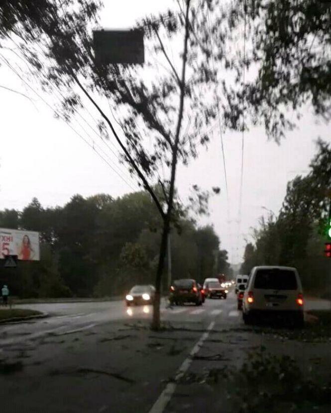 Новини Хмельницького - фото з Наслідки негоди у Хмельницькому: що наробив сильний вітер Наслідки негоди у Хмельницькому: що наробив сильний вітер, фото №1 на сайті vsim.ua