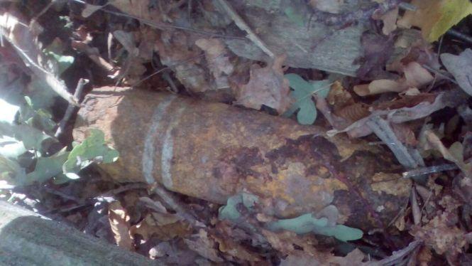 Виявили снаряд у лісі, фото №2 на сайті 20minut.ua