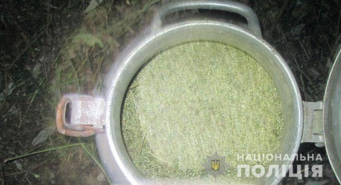 У Бердичеві поліцейські викрили польову «комору» з майже півтонною сухих конопель, фото №1 на сайті 20minut.ua