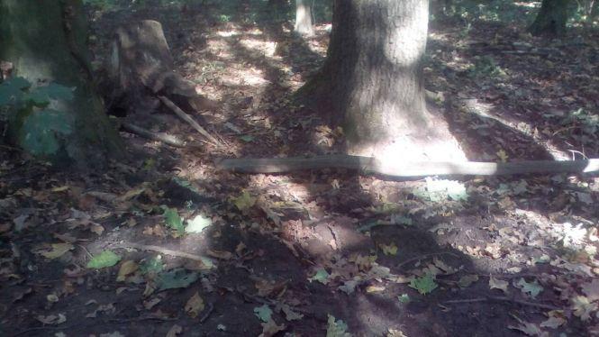 Виявили снаряд у лісі, фото №3 на сайті 20minut.ua