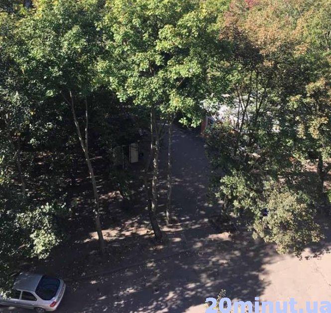 Новини Тернополя - фото з "Депутат облради пообрізав дерева, що росли 30 років, щоб бачити з вікна свій Range Rover", - каже тернополянин (оновлене) "Депутат облради пообрізав дерева, що росли 30 років, щоб бачити з вікна свій Range Rover", - каже тернополянин (оновлене), фото №2 на сайті 20minut.ua