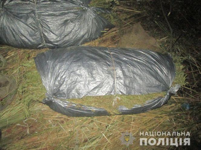 У Бердичеві поліцейські викрили польову «комору» з майже півтонною сухих конопель, фото №2 на сайті 20minut.ua