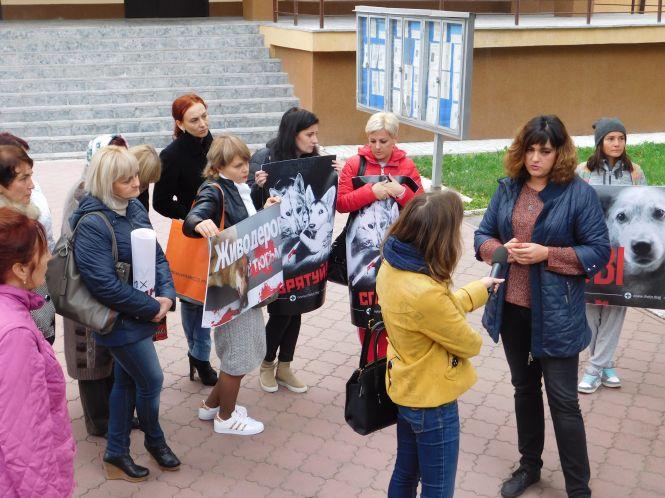 Новини Хмельницького - фото з “Мер-обіщалкін” труїть собак”: що кажуть активісти про вбивство тварин у Раковому “Мер-обіщалкін” труїть собак”: що кажуть активісти про вбивство тварин у Раковому, фото №4 на сайті vsim.ua