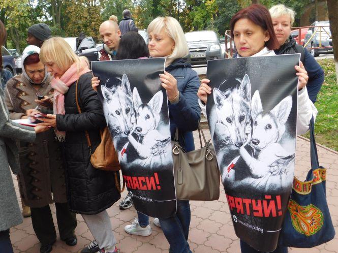 Новини Хмельницького - фото з “Мер-обіщалкін” труїть собак”: що кажуть активісти про вбивство тварин у Раковому “Мер-обіщалкін” труїть собак”: що кажуть активісти про вбивство тварин у Раковому, фото №6 на сайті vsim.ua