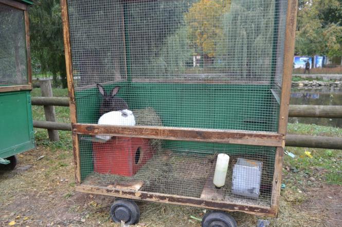 Новини Хмельницького - фото з Як зоокуточок у парку Чекмана готують до зими Як зоокуточок у парку Чекмана готують до зими, фото №7 на сайті vsim.ua