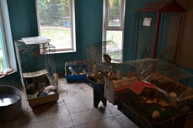 Новини Хмельницького - фото з Як зоокуточок у парку Чекмана готують до зими Як зоокуточок у парку Чекмана готують до зими, фото №3 на сайті vsim.ua