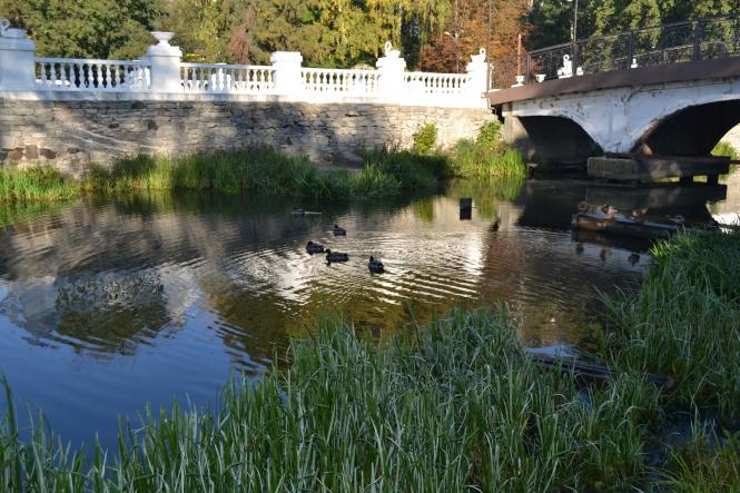 Новини Хмельницького - фото з Яскраві кольори осені у парках Хмельницького (ФОТОРЕПОРТАЖ) Яскраві кольори осені у парках Хмельницького (ФОТОРЕПОРТАЖ), фото №19 на сайті vsim.ua