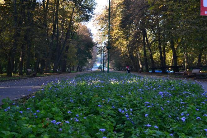 Новини Хмельницького - фото з Яскраві кольори осені у парках Хмельницького (ФОТОРЕПОРТАЖ) Яскраві кольори осені у парках Хмельницького (ФОТОРЕПОРТАЖ), фото №13 на сайті vsim.ua