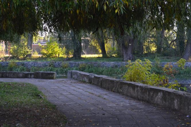 Новини Хмельницького - фото з Яскраві кольори осені у парках Хмельницького (ФОТОРЕПОРТАЖ) Яскраві кольори осені у парках Хмельницького (ФОТОРЕПОРТАЖ), фото №2 на сайті vsim.ua