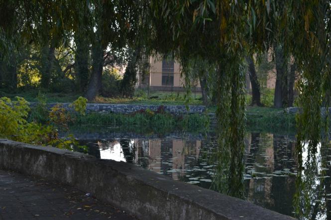 Новини Хмельницького - фото з Яскраві кольори осені у парках Хмельницького (ФОТОРЕПОРТАЖ) Яскраві кольори осені у парках Хмельницького (ФОТОРЕПОРТАЖ), фото №4 на сайті vsim.ua