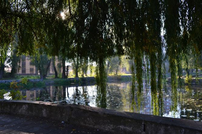 Новини Хмельницького - фото з Яскраві кольори осені у парках Хмельницького (ФОТОРЕПОРТАЖ) Яскраві кольори осені у парках Хмельницького (ФОТОРЕПОРТАЖ), фото №14 на сайті vsim.ua