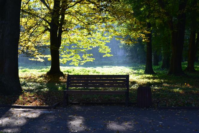 Новини Хмельницького - фото з Яскраві кольори осені у парках Хмельницького (ФОТОРЕПОРТАЖ) Яскраві кольори осені у парках Хмельницького (ФОТОРЕПОРТАЖ), фото №12 на сайті vsim.ua