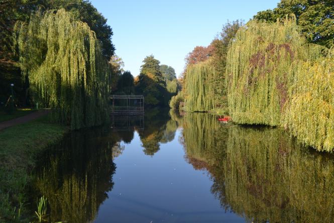 Новини Хмельницького - фото з Яскраві кольори осені у парках Хмельницького (ФОТОРЕПОРТАЖ) Яскраві кольори осені у парках Хмельницького (ФОТОРЕПОРТАЖ), фото №8 на сайті vsim.ua