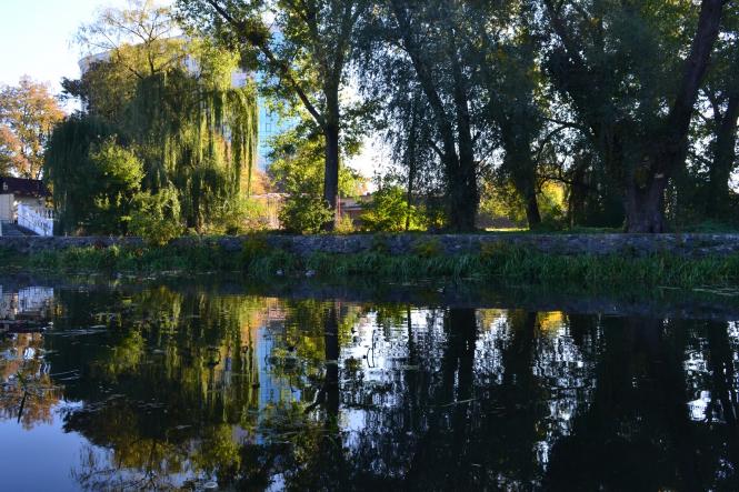 Новини Хмельницького - фото з Яскраві кольори осені у парках Хмельницького (ФОТОРЕПОРТАЖ) Яскраві кольори осені у парках Хмельницького (ФОТОРЕПОРТАЖ), фото №15 на сайті vsim.ua