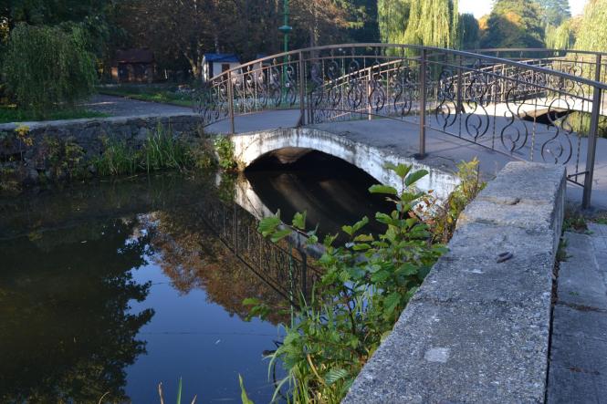 Новини Хмельницького - фото з Яскраві кольори осені у парках Хмельницького (ФОТОРЕПОРТАЖ) Яскраві кольори осені у парках Хмельницького (ФОТОРЕПОРТАЖ), фото №5 на сайті vsim.ua