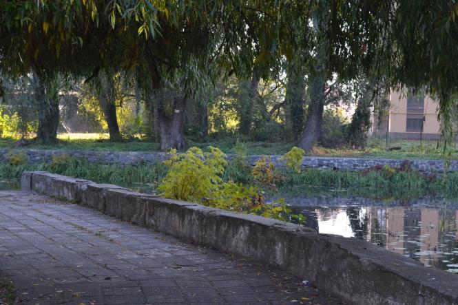 Новини Хмельницького - фото з Яскраві кольори осені у парках Хмельницького (ФОТОРЕПОРТАЖ) Яскраві кольори осені у парках Хмельницького (ФОТОРЕПОРТАЖ), фото №3 на сайті vsim.ua