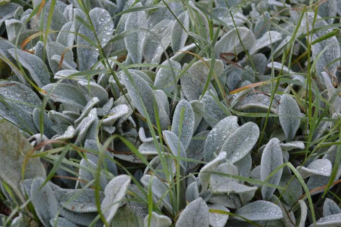 Новини Хмельницького - фото з Яскраві кольори осені у парках Хмельницького (ФОТОРЕПОРТАЖ) Яскраві кольори осені у парках Хмельницького (ФОТОРЕПОРТАЖ), фото №9 на сайті vsim.ua