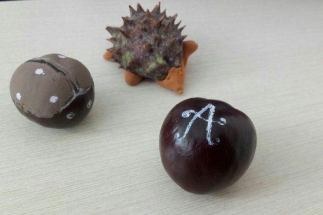 Чарівне у простому. Що 17-річна вінничанка пропонує робити з каштанів, фото №2 на сайті 20minut.ua