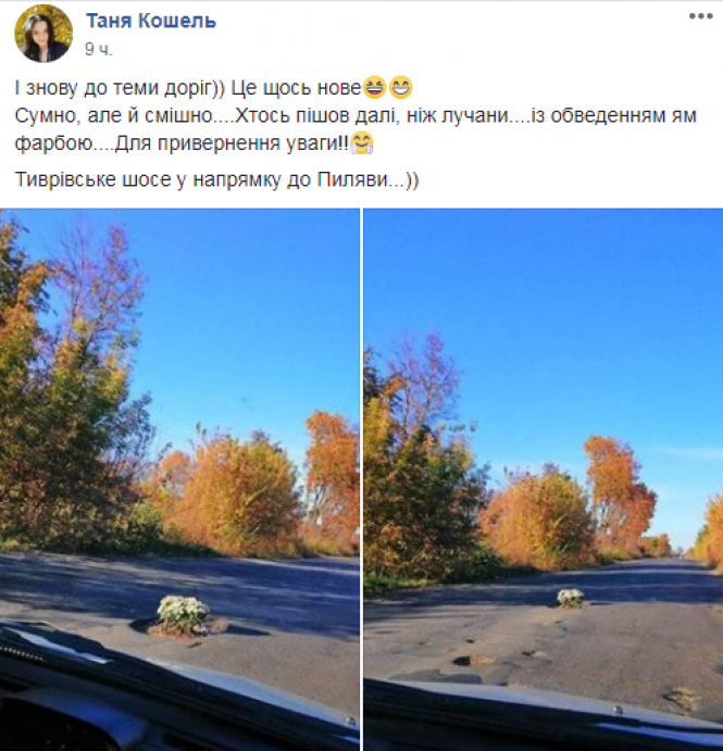 На Тиврівському шосе в дорожню яму невідомі посадили квіти, фото №3 на сайті 20minut.ua