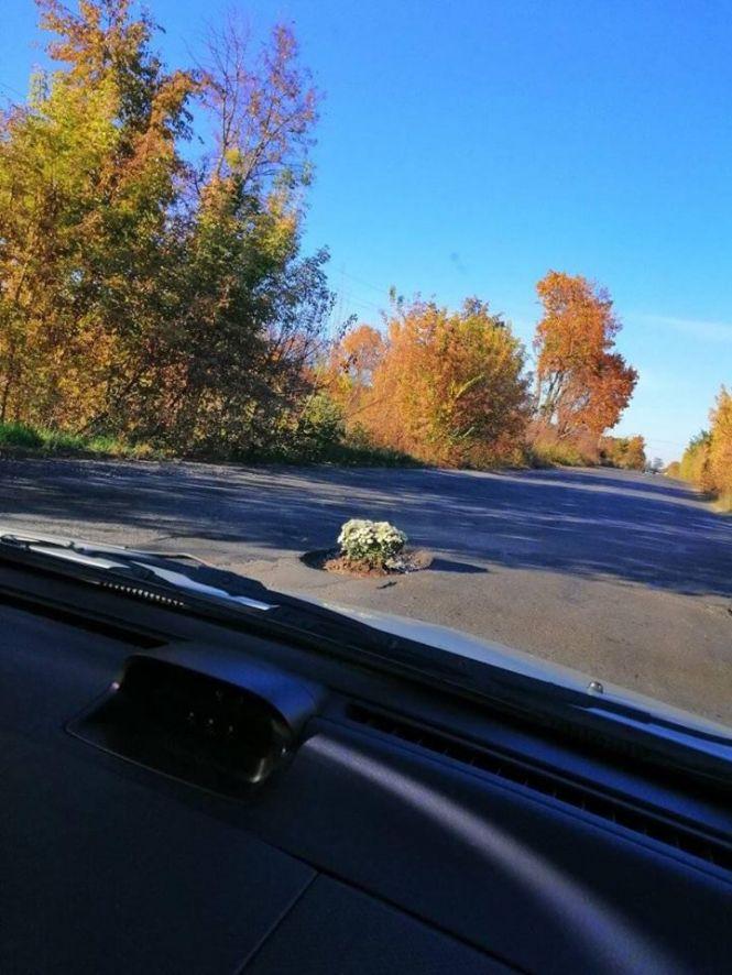 На Тиврівському шосе в дорожню яму невідомі посадили квіти, фото №1 на сайті 20minut.ua