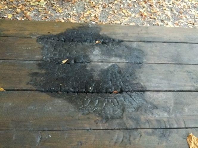 Фото дня: Під кінець сезону у Парку здоров'я - гори сміття і пропалені столи, фото №1 на сайті 20minut.ua