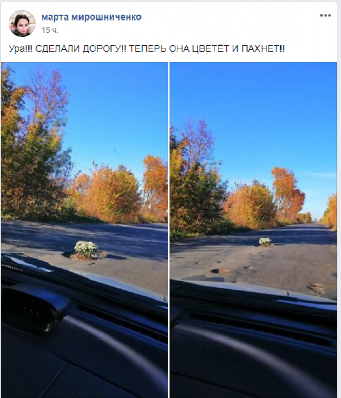 На Тиврівському шосе в дорожню яму невідомі посадили квіти, фото №2 на сайті 20minut.ua