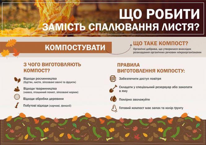 За спалювання листя та сміття житомирян можуть оштрафувати на  1700 грн, фото №2 на сайті 20minut.ua