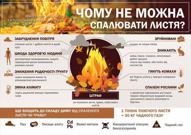 За спалювання листя та сміття житомирян можуть оштрафувати на  1700 грн, фото №1 на сайті 20minut.ua