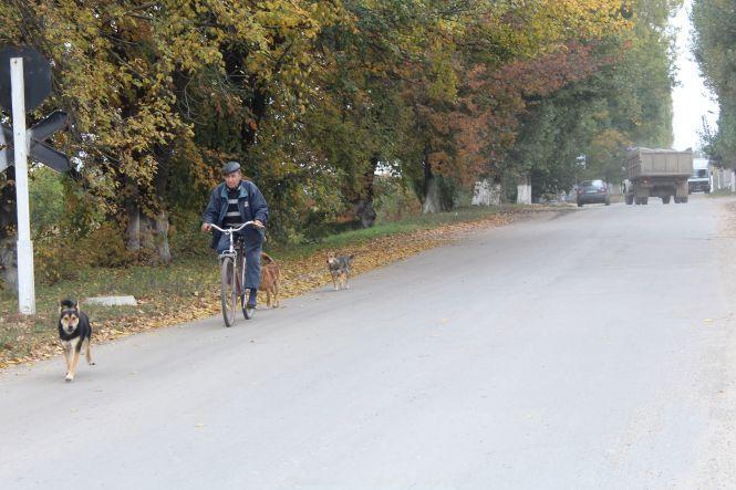 Новини Вінниці - фото з Чим живе Десна, яка хоче приєднатися до Вінниці Чим живе Десна, яка хоче приєднатися до Вінниці, фото №2 на сайті 20minut.ua