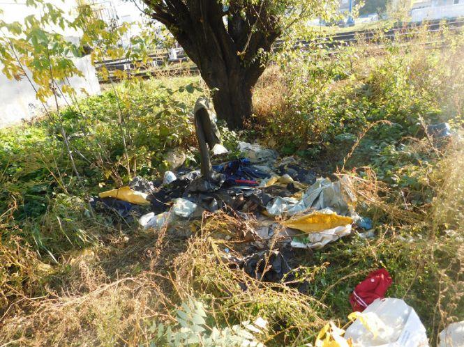 “Ніби розбирали хатинку бомжа”: як хмельницькі студенти прибирали сміття біля залізниці, фото №7 на сайті vsim.ua