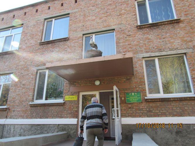 Новини Козятина - фото з “Готуй санчата літом” не спрацювало у Козятині “Готуй санчата літом” не спрацювало у Козятині, фото №3 на сайті 20minut.ua