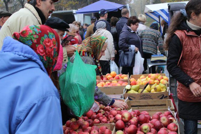 На ярмарку у Тернополі продають навіть домашню полуницю, фото №1 на сайті 20minut.ua