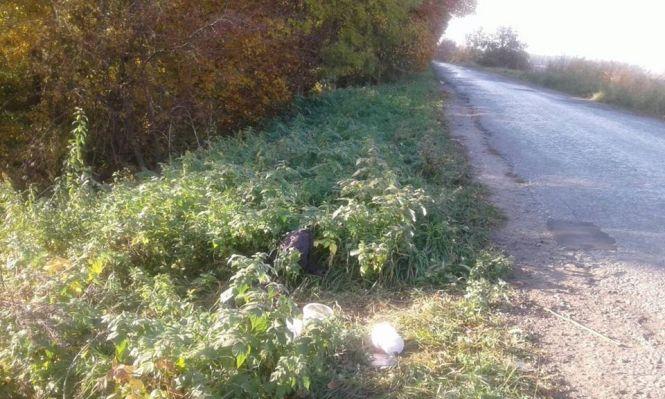 Віддано чекає уже з місяць. На Вінниччині господар вивіз до лісу пса, фото №4 на сайті 20minut.ua