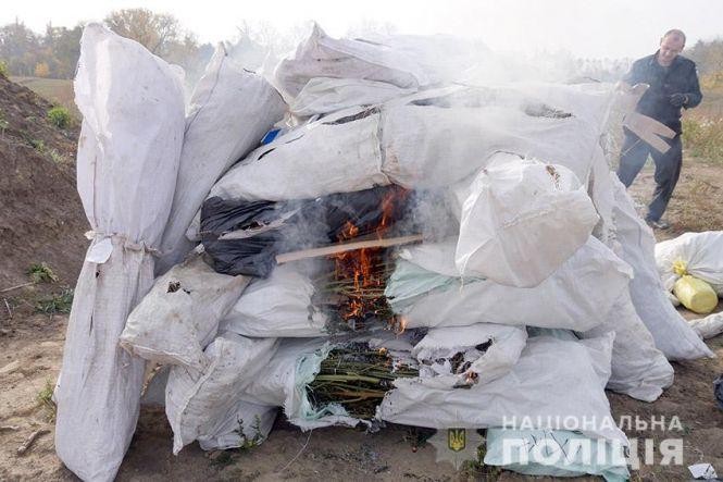 Від марихуани до метадону: у Хмельницькому поліцейські спалили наркотиків на 1,5 мільйона гривень, фото №3 на сайті vsim.ua