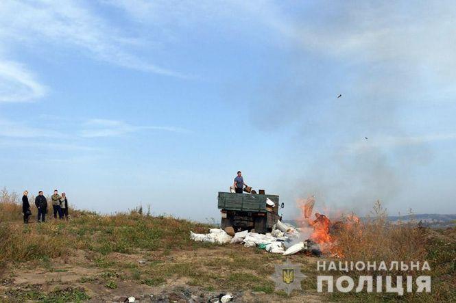 Від марихуани до метадону: у Хмельницькому поліцейські спалили наркотиків на 1,5 мільйона гривень, фото №1 на сайті vsim.ua