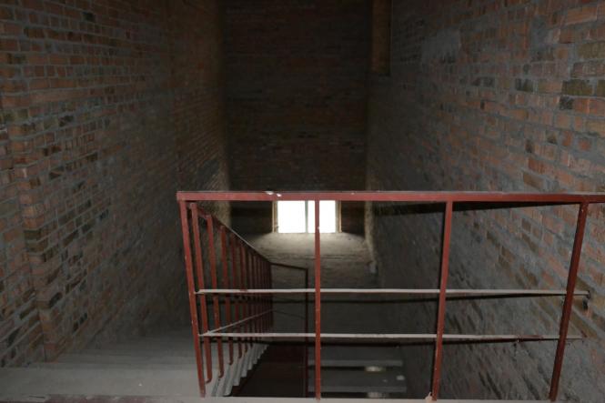 Новини Хмельницького - фото з Будівництво музею на Свободи за 26 мільйонів: що встигли зробити за рік Будівництво музею на Свободи за 26 мільйонів: що встигли зробити за рік, фото №13 на сайті vsim.ua