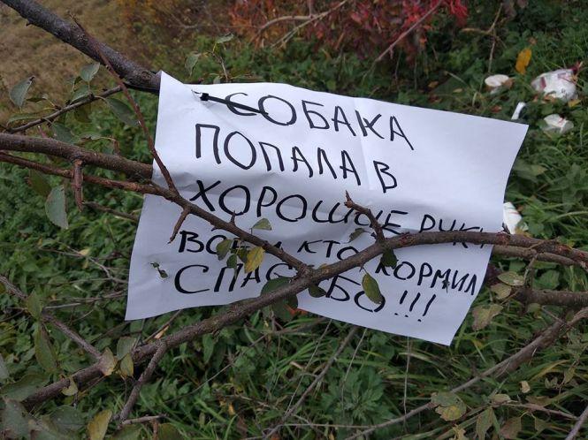 «Потрапив до хороших рук»: калинівський «Хатіко» знайшов нового господаря, фото №1 на сайті 20minut.ua