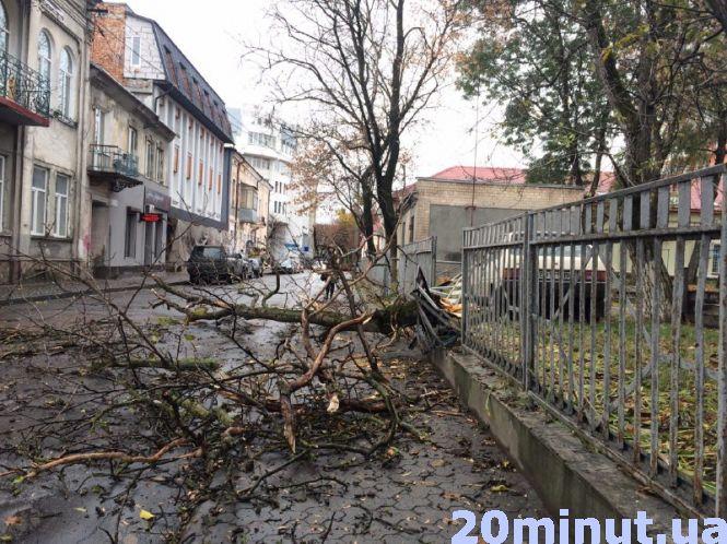 Новини Тернополя - фото з Фото дня: На Будного сухе дерево впало на дорогу Фото дня:  на Качали через сильний вітер сухе дерево впало на дорогу, фото №1 на сайті 20minut.ua