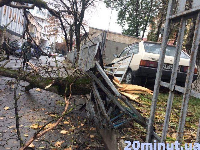 Новини Тернополя - фото з Фото дня: На Будного сухе дерево впало на дорогу Фото дня:  на Качали через сильний вітер сухе дерево впало на дорогу, фото №2 на сайті 20minut.ua