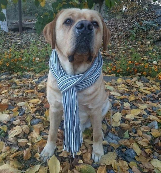 Новини Козятина - фото з Козятин в Instagram. Підбірка кращих фото за 22 - 24 жовтня Козятин в Instagram. Підбірка кращих фото за 22 - 24 жовтня, фото №3 на сайті 20minut.ua