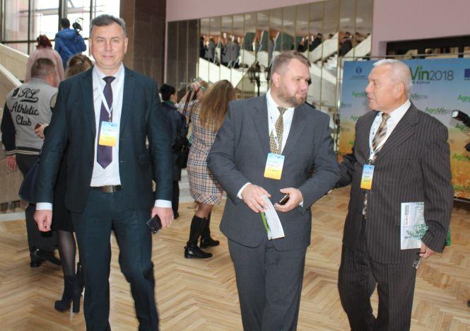 Новини Вінниці - фото з «AgroVin2018»: якщо зерна більше, то чому хліб дорожчає? Пояснення посадовця «AgroVin2018»: якщо зерна більше, то чому хліб дорожчає? Пояснення посадовця, фото №2 на сайті 20minut.ua