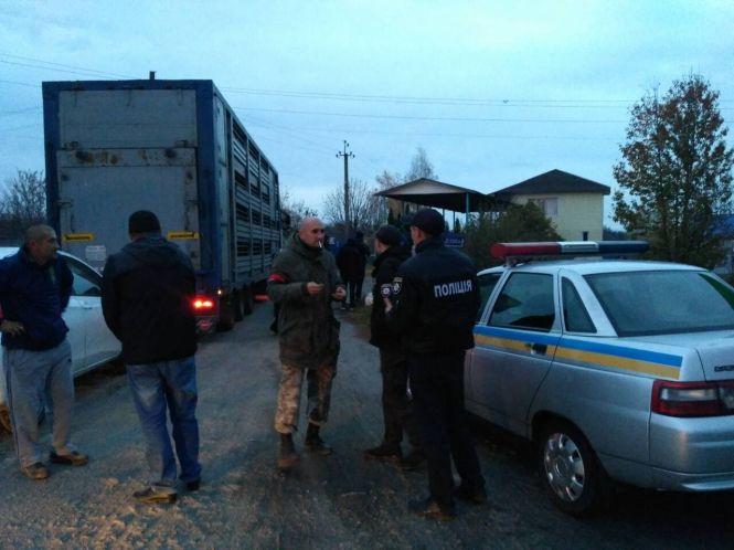 Новини Вінниці - фото з «У цій фурі-тюрмі вівці їдуть на Вінниччину»: що відомо про ситуацію із закатованими тваринами? «У цій фурі-тюрмі вівці їдуть на Вінниччину»: що відомо про ситуацію із закатованими тваринами?, фото №1 на сайті 20minut.ua