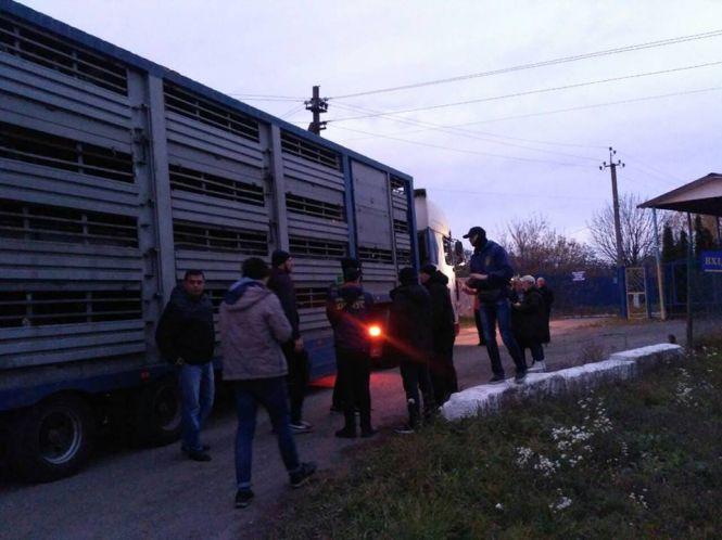 Новини Вінниці - фото з «У цій фурі-тюрмі вівці їдуть на Вінниччину»: що відомо про ситуацію із закатованими тваринами? «У цій фурі-тюрмі вівці їдуть на Вінниччину»: що відомо про ситуацію із закатованими тваринами?, фото №3 на сайті 20minut.ua