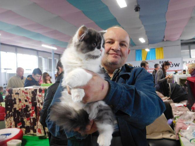 18 унікальних порід котів можна побачити на виставці у Хмельницькому (ФОТО), фото №1 на сайті vsim.ua