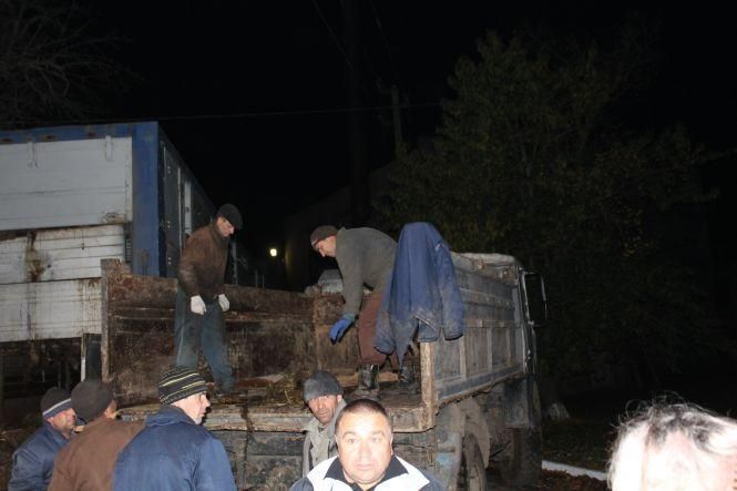 Новини Козятина - фото з Як вінничани врятували чужих овець з Туреччини. Нічний репортаж Як вінничани врятували чужих овець з Туреччини. Нічний репортаж, фото №13 на сайті 20minut.ua