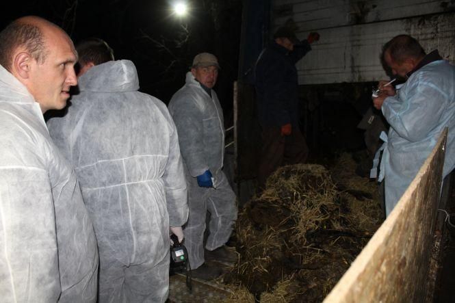 Новини Козятина - фото з Як вінничани врятували чужих овець з Туреччини. Нічний репортаж Як вінничани врятували чужих овець з Туреччини. Нічний репортаж, фото №12 на сайті 20minut.ua