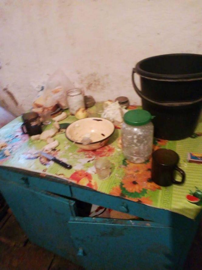 Новини Вінниці - фото з Кризисні родини Вінниччини: показали, в яких умовах живуть діти Кризисні родини Вінниччини: показали, в яких умовах живуть діти, фото №2 на сайті 20minut.ua